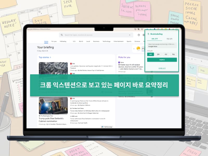 Brain Labeling 크롬 익스텐션 데모